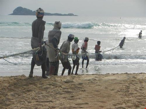  Trincomalee sabrina sabrina